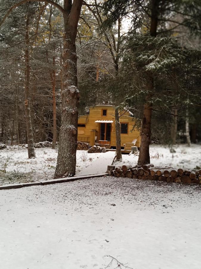 Champclause Chalet Cricri Domaine De La Mamounette מראה חיצוני תמונה