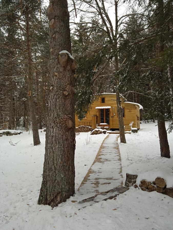 Champclause Chalet Cricri Domaine De La Mamounette מראה חיצוני תמונה