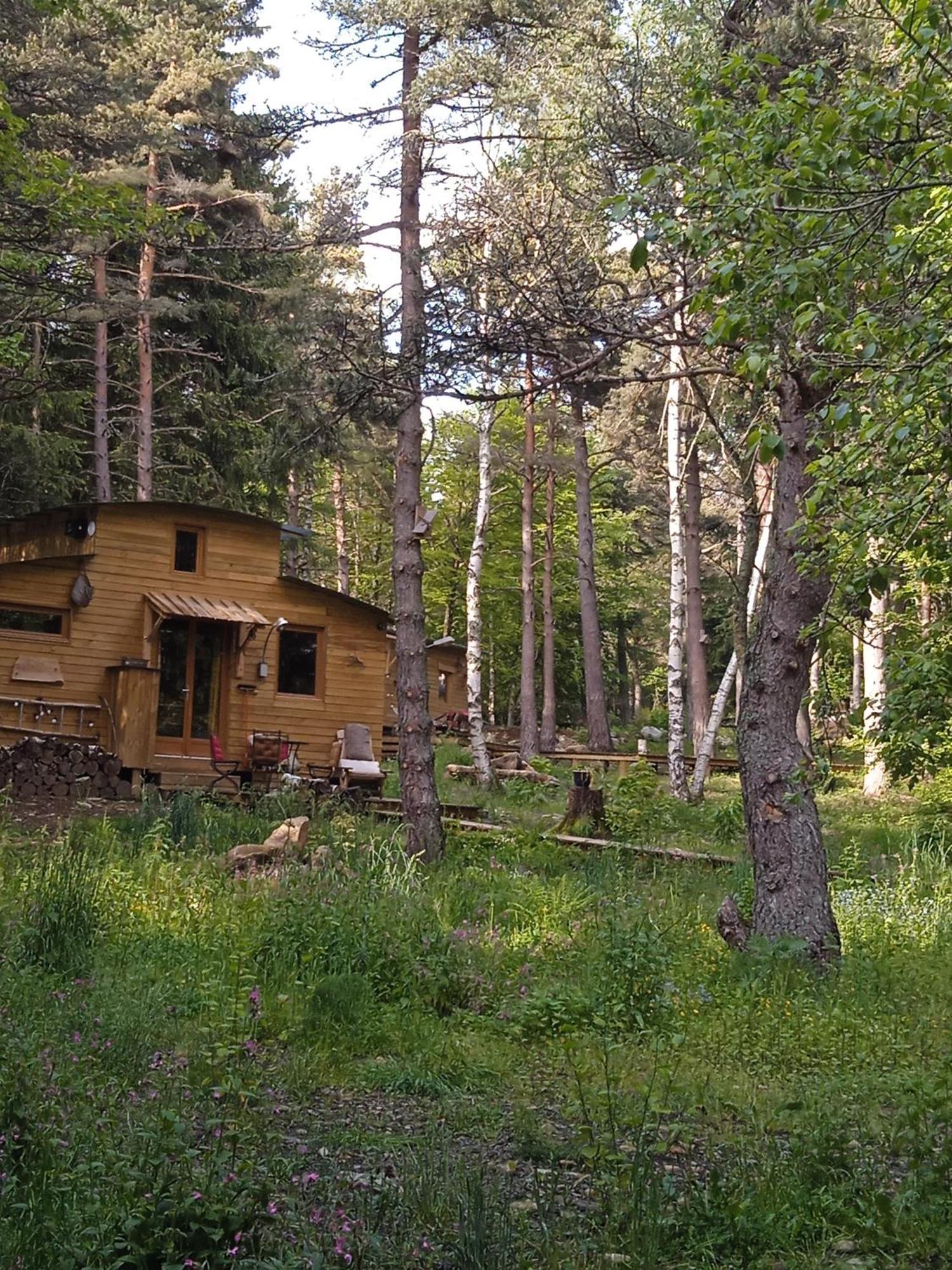 Champclause Chalet Cricri Domaine De La Mamounette מראה חיצוני תמונה