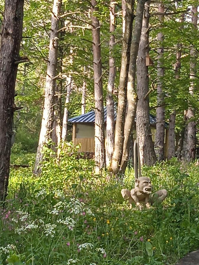 Champclause Chalet Cricri Domaine De La Mamounette מראה חיצוני תמונה