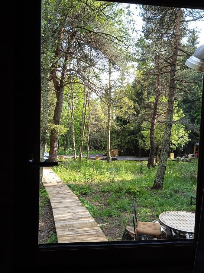 Champclause Chalet Cricri Domaine De La Mamounette מראה חיצוני תמונה