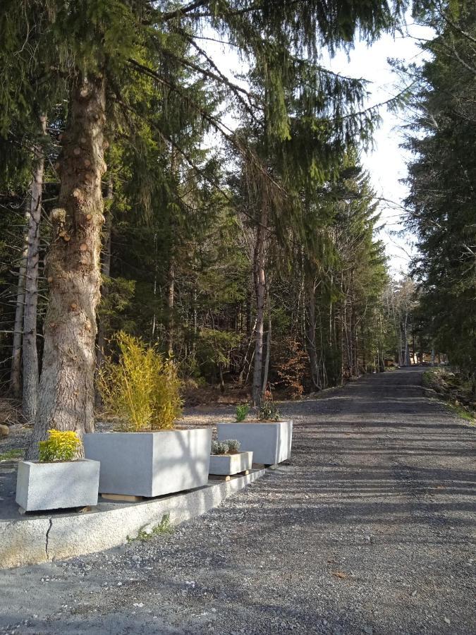 Champclause Chalet Cricri Domaine De La Mamounette מראה חיצוני תמונה