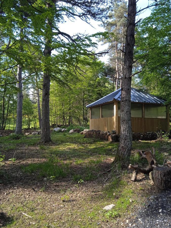 Champclause Chalet Cricri Domaine De La Mamounette מראה חיצוני תמונה