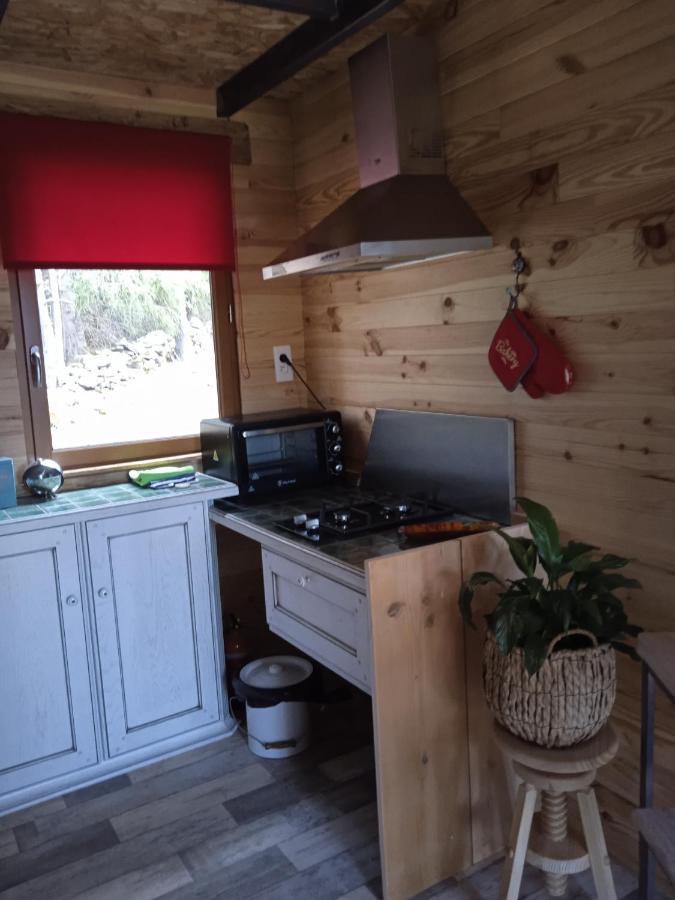 Champclause Chalet Cricri Domaine De La Mamounette מראה חיצוני תמונה