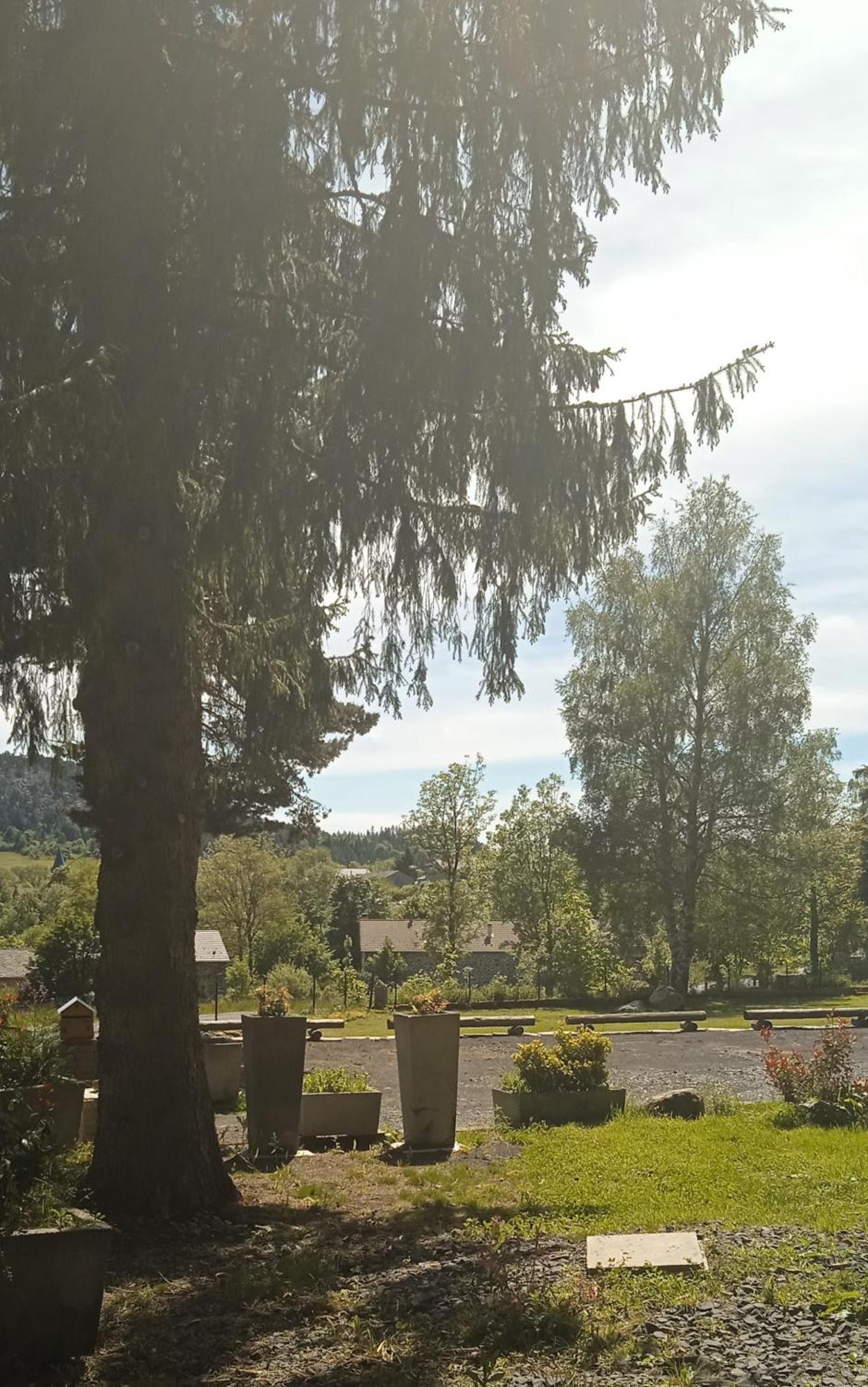 Champclause Chalet Cricri Domaine De La Mamounette מראה חיצוני תמונה