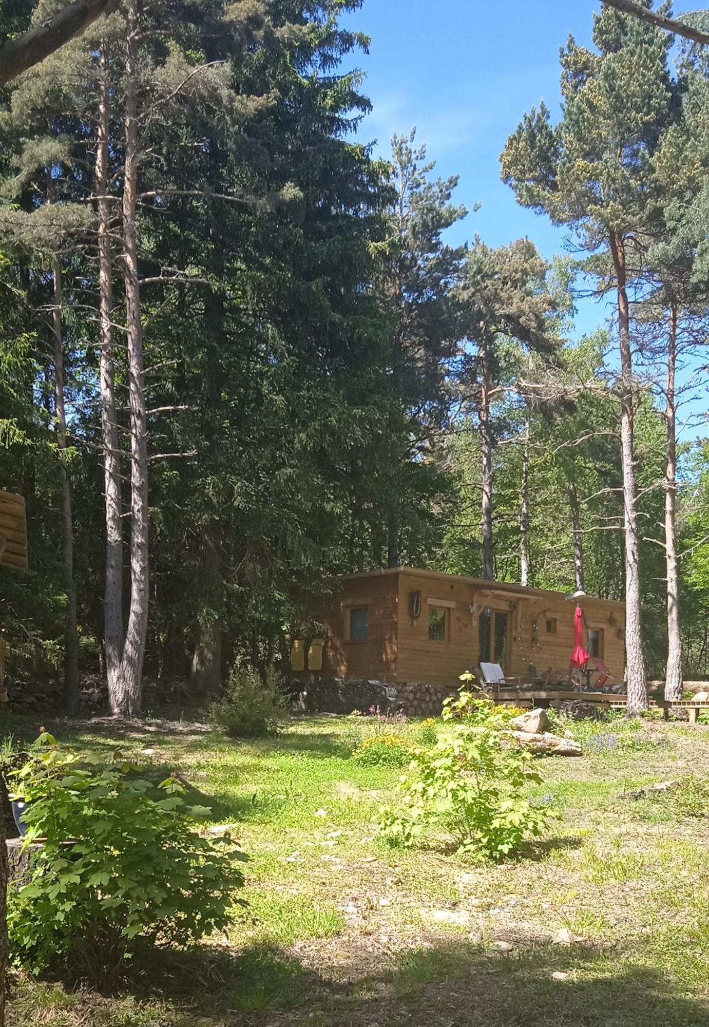 Champclause Chalet Cricri Domaine De La Mamounette מראה חיצוני תמונה